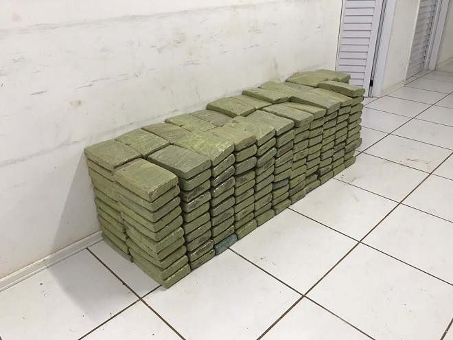 Maconha apreendida (IMAGEM: Polícia Civil MA)