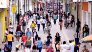 9,5 milhões de pequenos negócios podem retomar nível alto de atividade