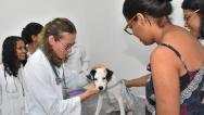 Mais Saúde Animal tem mais de 1.400 cadastros para consulta