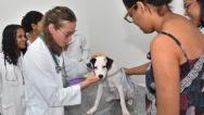 Anjo da Guarda recebe Programa Saúde Animal nesse sábado (24)