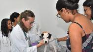 Cidade Olímpica recebe Programa Saúde Animal no sábado (7)