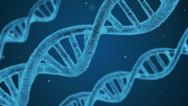 MA terá coleta de DNA de familiares de pessoas desaparecidas