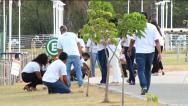 SEMA encerra Outubro Rosa com plantio de mudas em São Luís