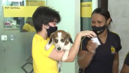 Ação pede o fim do uso de animais em testes de cosméticos