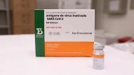 Maranhão recebe 7º lote com mais de 116 mil doses da CoronaVac
