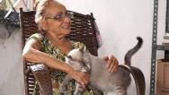 Mulher faz apelo para doação de gatos em São Luís