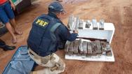 PRF apreende 26 kg de maconha em ônibus no Maranhão