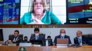Aprovada diretrizes para política estadual 'Maranhão Gera Emprego e Renda'
