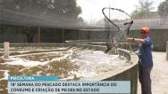 Piscicultura: consumo e criação de peixes apresenta alta de 6% no MA