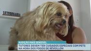 Tutores devem ter cuidados especiais com pets na hora dos fogos de Réveillon