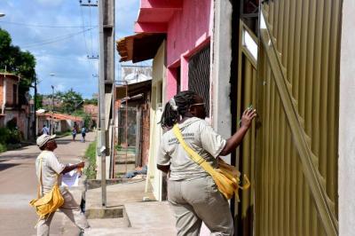 São Luís: trabalhos preventivos de combate ao Aedes aegypti 