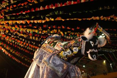 Bumba Meu Boi pode se tornar patrimônio imaterial da humanidade