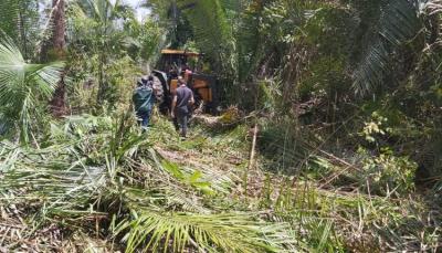 Alto Alegre: operação combate desmatamento em área de conflito agrário 