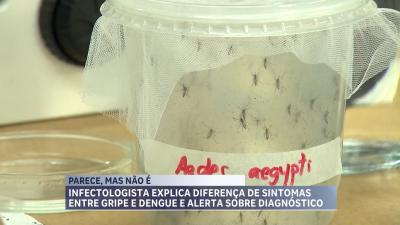  Aprenda a diferenciar os sintomas da dengue e da gripe